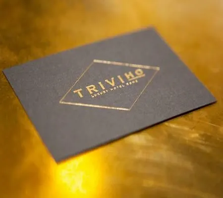 Triviho Hotel Roma